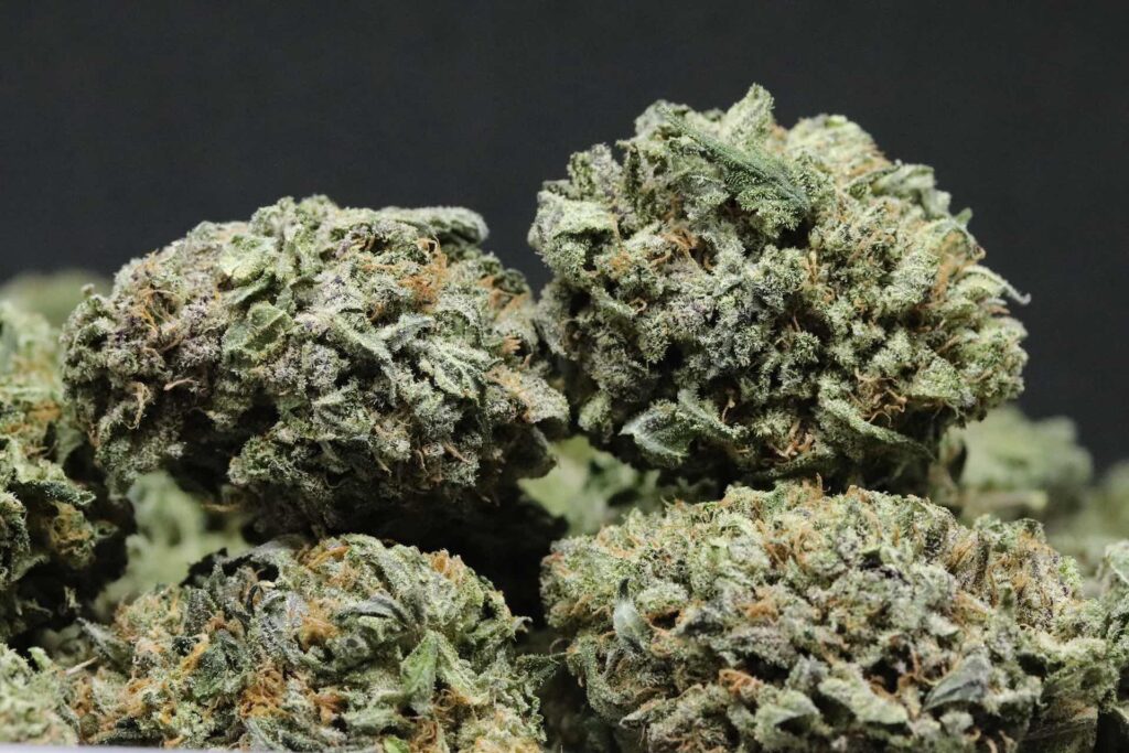 bruce banner marijuana strain