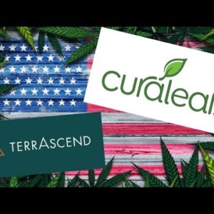 Big Weed Companies Launch Multiple Legal BATTLES Against Feds