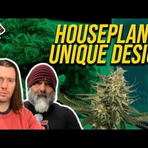 Cannabis News: Seth Rogen Provides an Inside Look at Houseplant Headquarters