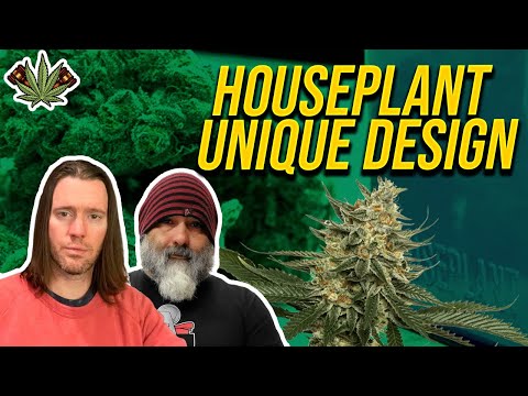 Cannabis News: Seth Rogen Provides an Inside Look at Houseplant Headquarters