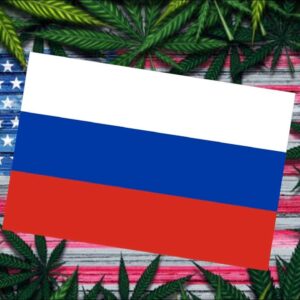 American Teacher Arrested in Russia for Cannabis Smuggling?