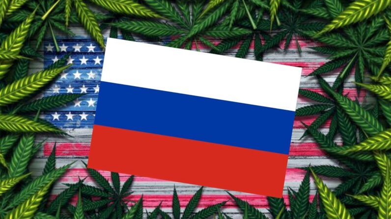 American Teacher Arrested in Russia for Cannabis Smuggling?