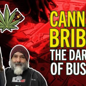How to Start a Cannabis Business the Right Way - Avoiding the Dark Side of the Industry