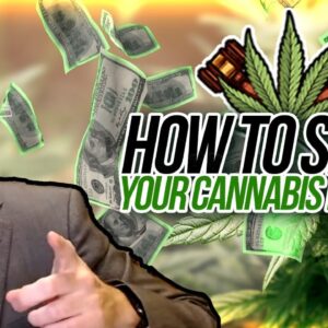 How to Set Up Your Cannabis Business with Collateral Base | how to start a marijuana business