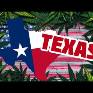 Texas Cities will VOTE on Cannabis Decriminalization THIS YEAR!?