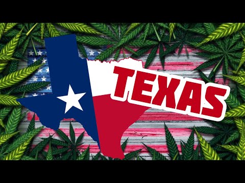 Texas Cities will VOTE on Cannabis Decriminalization THIS YEAR!?