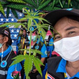 Thailand is Legalizing Cannabis