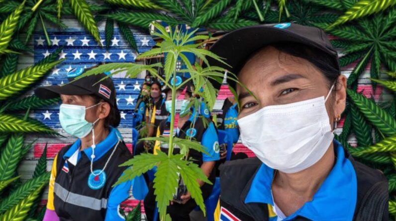 Thailand is Legalizing Cannabis