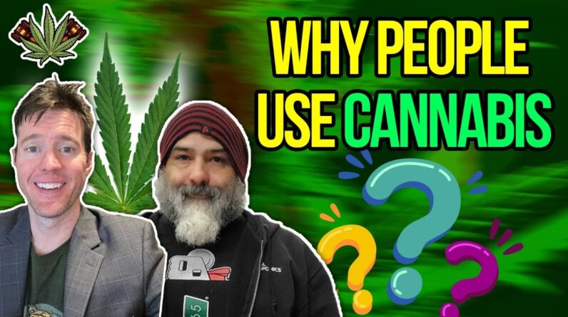 Why People Use Cannabis?